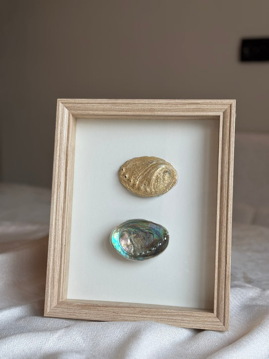 Schelpenlijst Wit/ Beige/ Goud